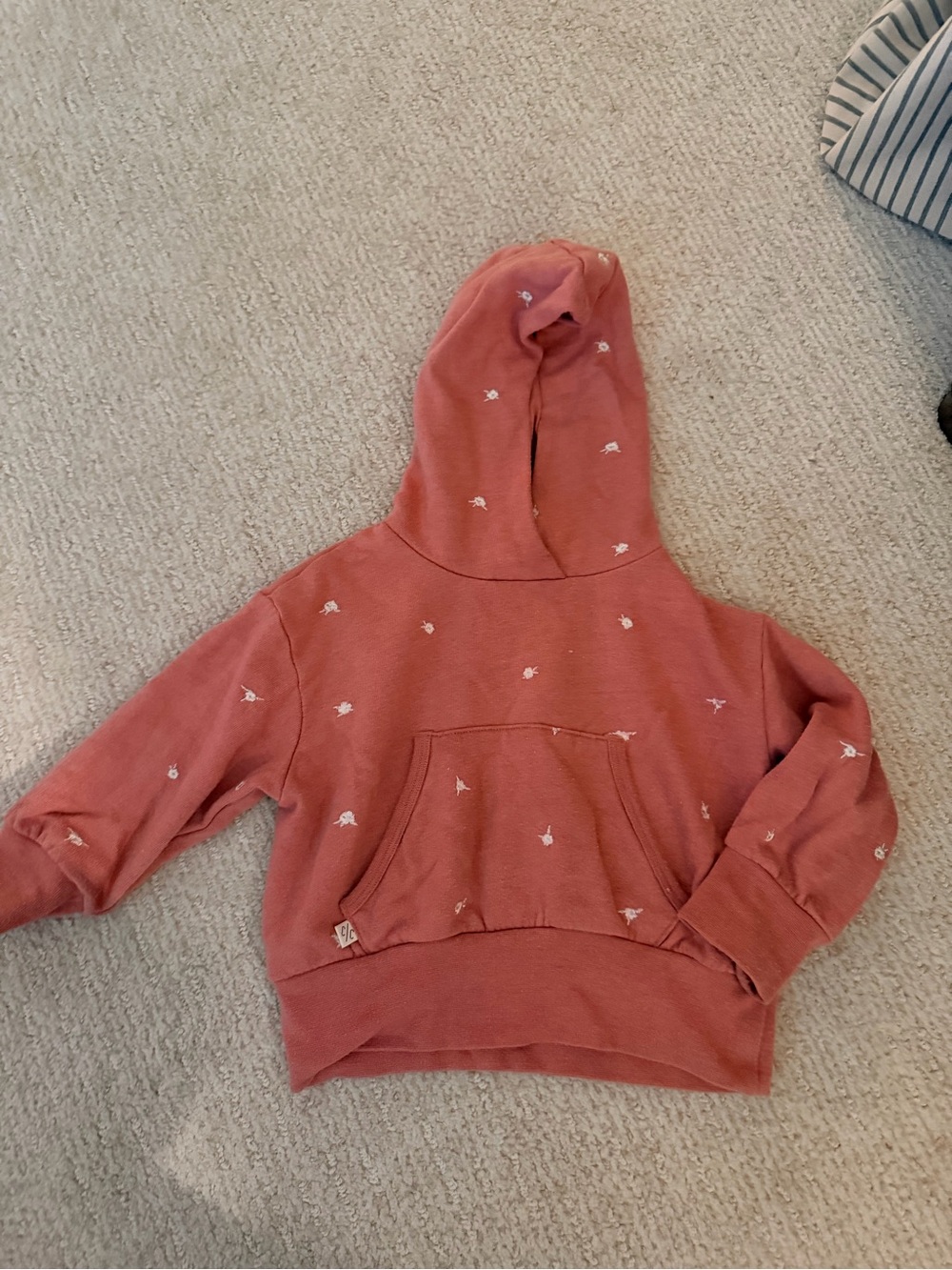 Childhoods clothing sweatshirt in Dusty Rose with Tiny White Embroidered Motifs